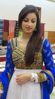 Chandni Sharma at Pochampally Ikat Art Mela